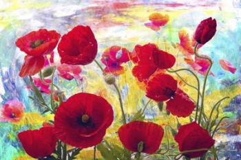 Red Poppies | Obraz na stenu