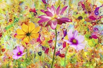 Flowers in the Meadow | Obraz na stenu