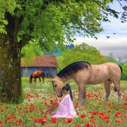 Love The Horses | Obraz na stenu