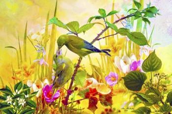 Nature Bird And Flowers 3 | Obraz na stenu