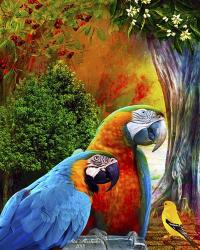 Parrot Love 3 | Obraz na stenu