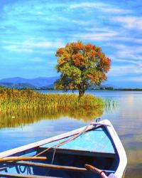 The Blue Boat | Obraz na stenu