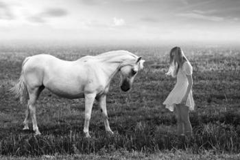 Her White Horse | Obraz na stenu