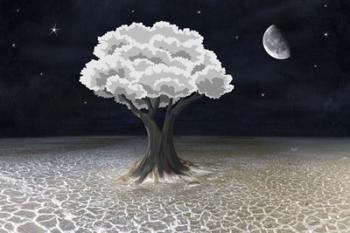 Moon Tree | Obraz na stenu