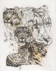 Snow Leopard and Ghost Image | Obraz na stenu