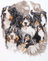 Bernese Mountain Dog with Ghost | Obraz na stenu