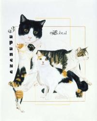 Japanese Bobtail | Obraz na stenu