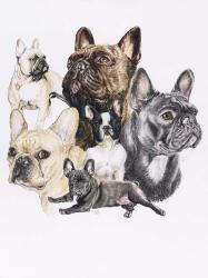 French Bulldog | Obraz na stenu