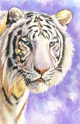 White Tiger | Obraz na stenu