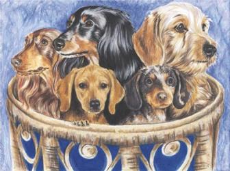 Dachsund In A Basket | Obraz na stenu