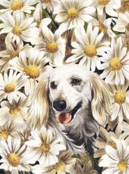 Dachsund In Daisies | Obraz na stenu