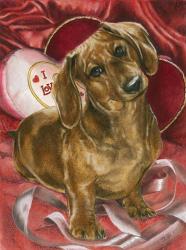 Dachshund Love | Obraz na stenu