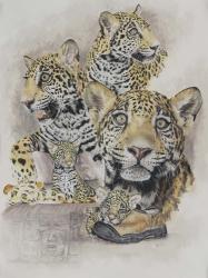 Jaguars | Obraz na stenu