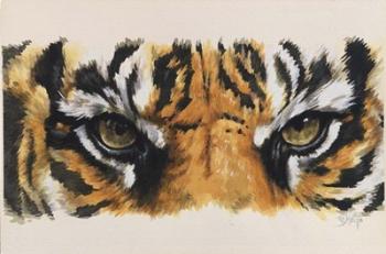 Eye-Catching Tiger | Obraz na stenu