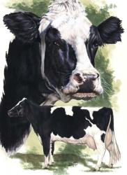 Holstein Cow | Obraz na stenu