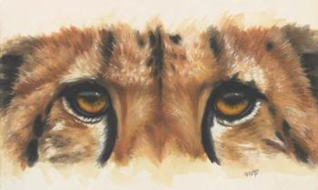 Eye- Catching Cheetah | Obraz na stenu