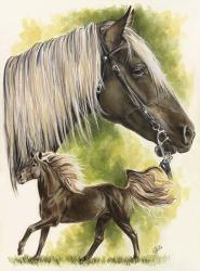 Rocky Mountain Horse | Obraz na stenu