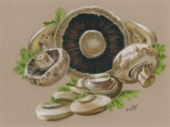Mushrooms | Obraz na stenu