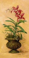 Orchid Revival I | Obraz na stenu