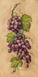Vintage Grapevine I | Obraz na stenu