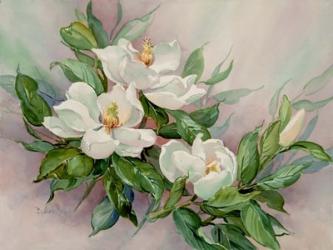 Magnolia Blossoms | Obraz na stenu