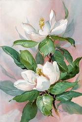 Classic Magnolia A | Obraz na stenu