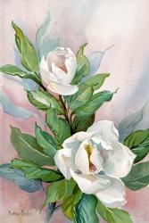 Classic Magnolia B | Obraz na stenu