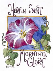 Heaven Sent Mornning Glory-Seed Packet | Obraz na stenu