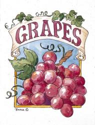 Grape Seed Packet | Obraz na stenu