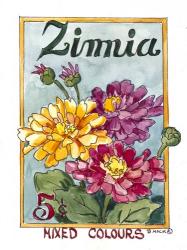 Mixed Colors Zinnia-Seed Packet | Obraz na stenu