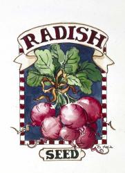 Radish-Seed Packet | Obraz na stenu