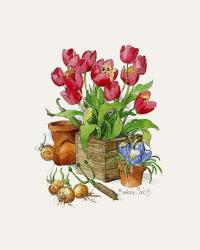 Tulips in Bloom | Obraz na stenu
