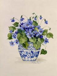 Blue and White Porcelain Violets | Obraz na stenu