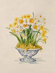 Blue and White Porcelain Daffodils | Obraz na stenu