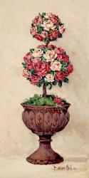 Rose Topiary I | Obraz na stenu