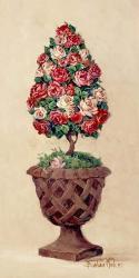Rose Topiary II | Obraz na stenu