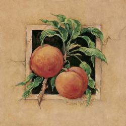 Peach Square | Obraz na stenu