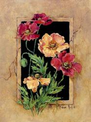 Framed Poppies | Obraz na stenu