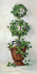 Ivy Topiary II | Obraz na stenu