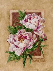 Peony Fresco | Obraz na stenu