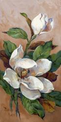 Magnolia Accents II | Obraz na stenu