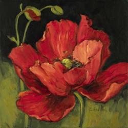 Poppy Blossom I | Obraz na stenu