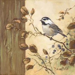 Chickadee Square II | Obraz na stenu