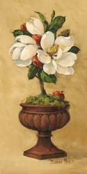 Magnolia Topiary I | Obraz na stenu