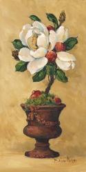 Magnolia Topiary II | Obraz na stenu