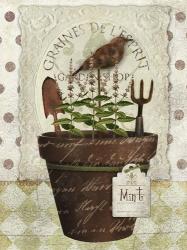 Herb Pot Mint | Obraz na stenu