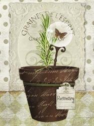 Herb Pots Rosemary | Obraz na stenu