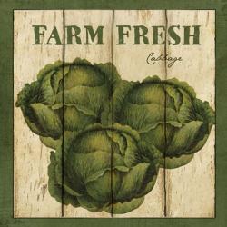 Farm Fresh Cabbage | Obraz na stenu