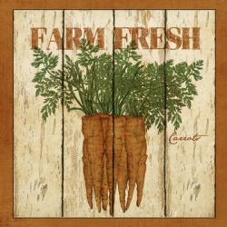 Farm Fresh Carrots | Obraz na stenu