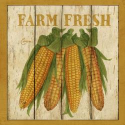 Farm Fresh Corn | Obraz na stenu